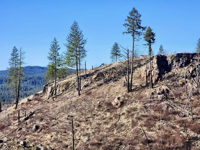 $44,997 | 0 Carpenter Road, Fruitland, WA 99129