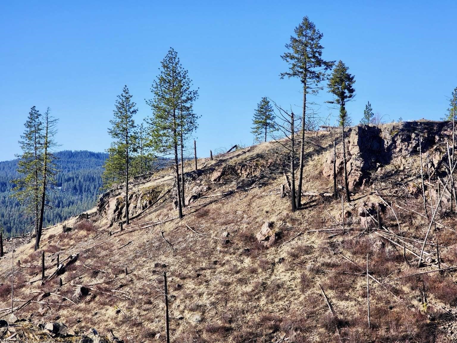 0 Carpenter Road Fruitland, WA 99129 - Photo 22 of 43