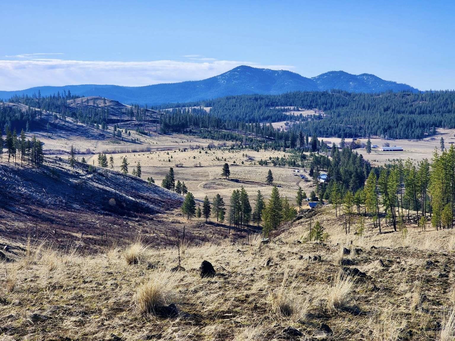 0 Carpenter Road Fruitland, WA 99129 - Photo 23 of 43