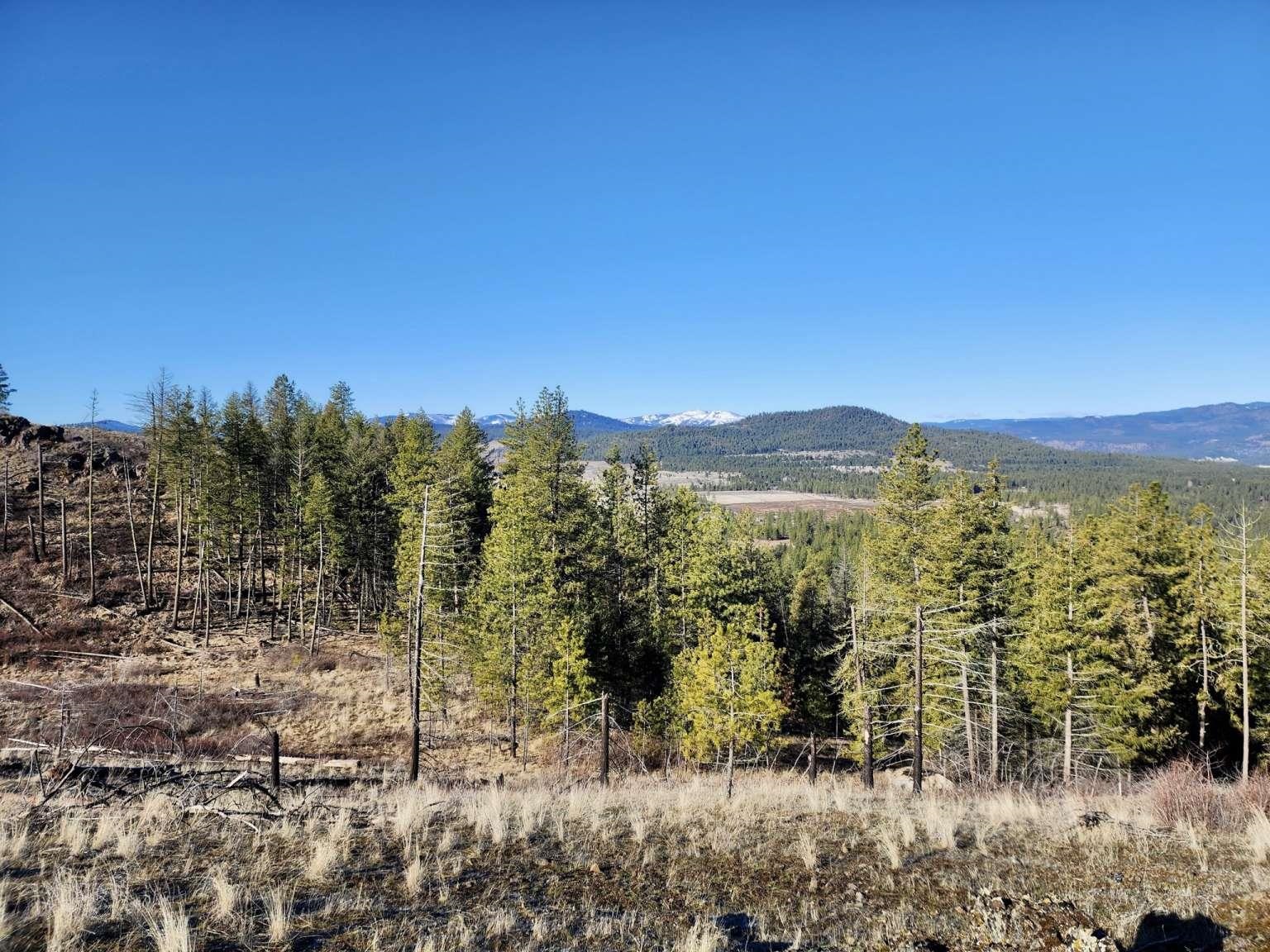 0 Carpenter Road Fruitland, WA 99129 - Photo 24 of 43