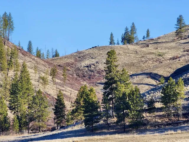 $44,997 | 0 Carpenter Road, Fruitland, WA 99129