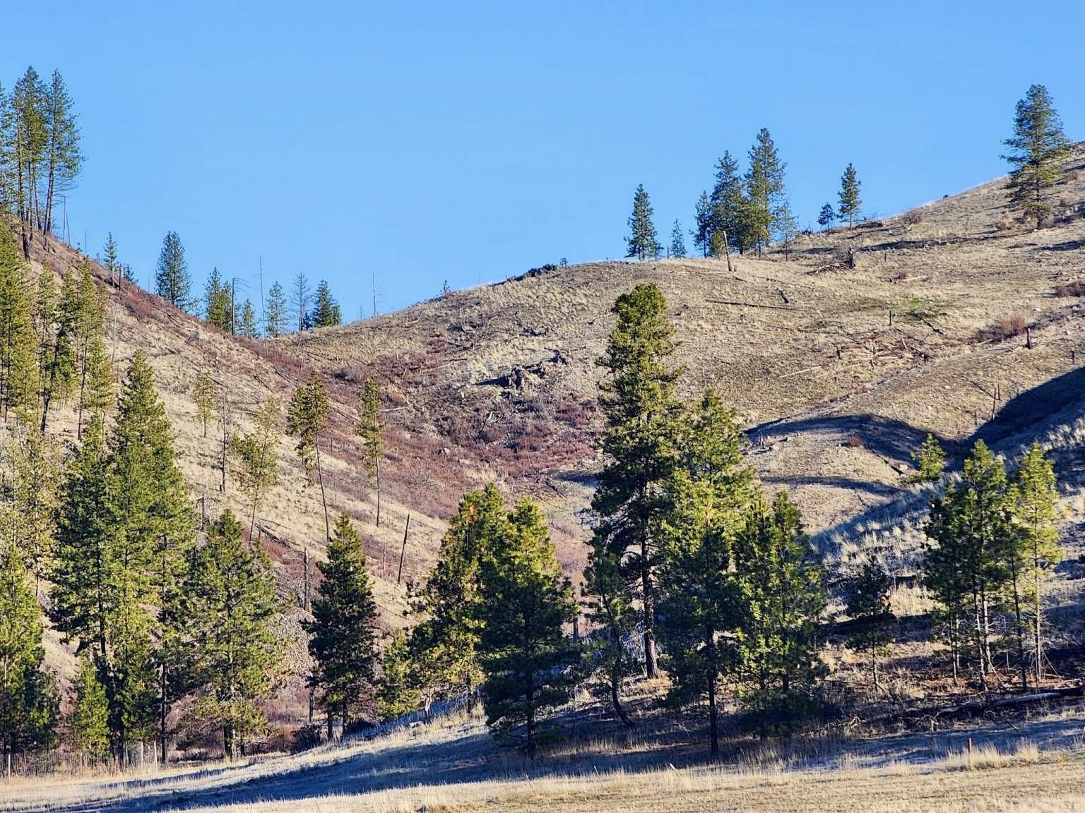 0 Carpenter Road Fruitland, WA 99129 - Photo 27 of 43