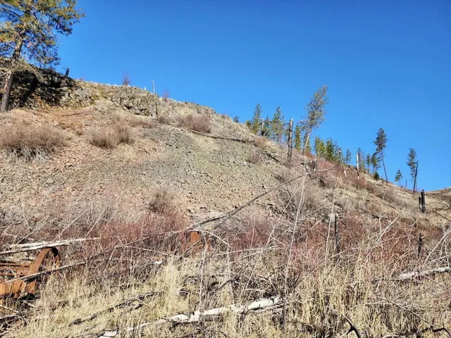 $44,997 | 0 Carpenter Road, Fruitland, WA 99129