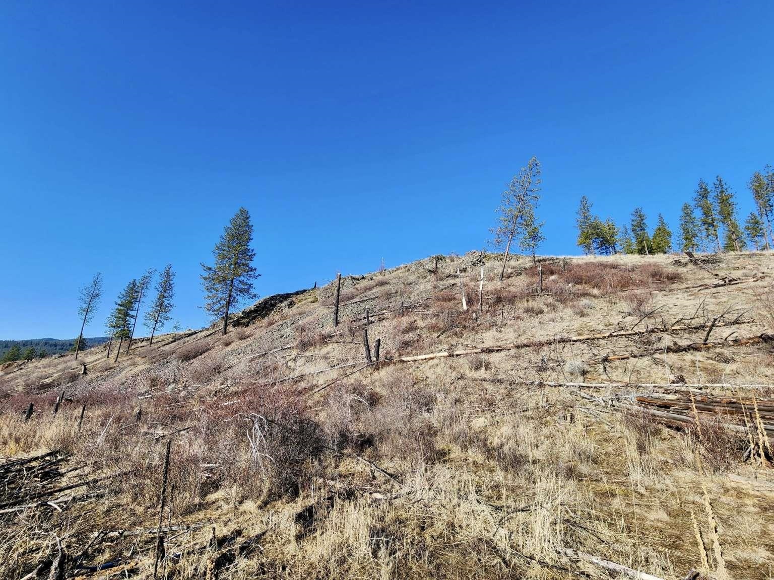 0 Carpenter Road Fruitland, WA 99129 - Photo 29 of 43