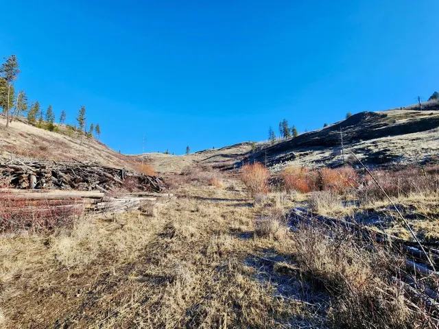 $44,997 | 0 Carpenter Road, Fruitland, WA 99129