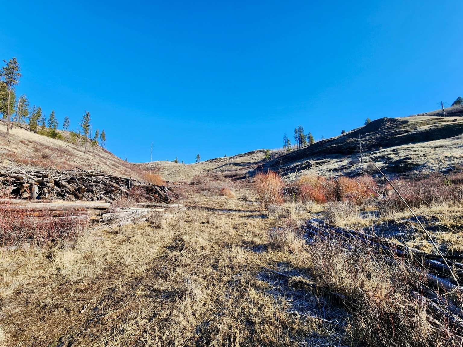 0 Carpenter Road Fruitland, WA 99129 - Photo 30 of 43