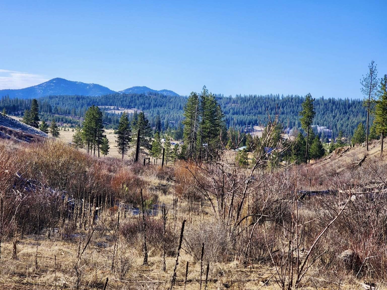 0 Carpenter Road Fruitland, WA 99129 - Photo 31 of 43