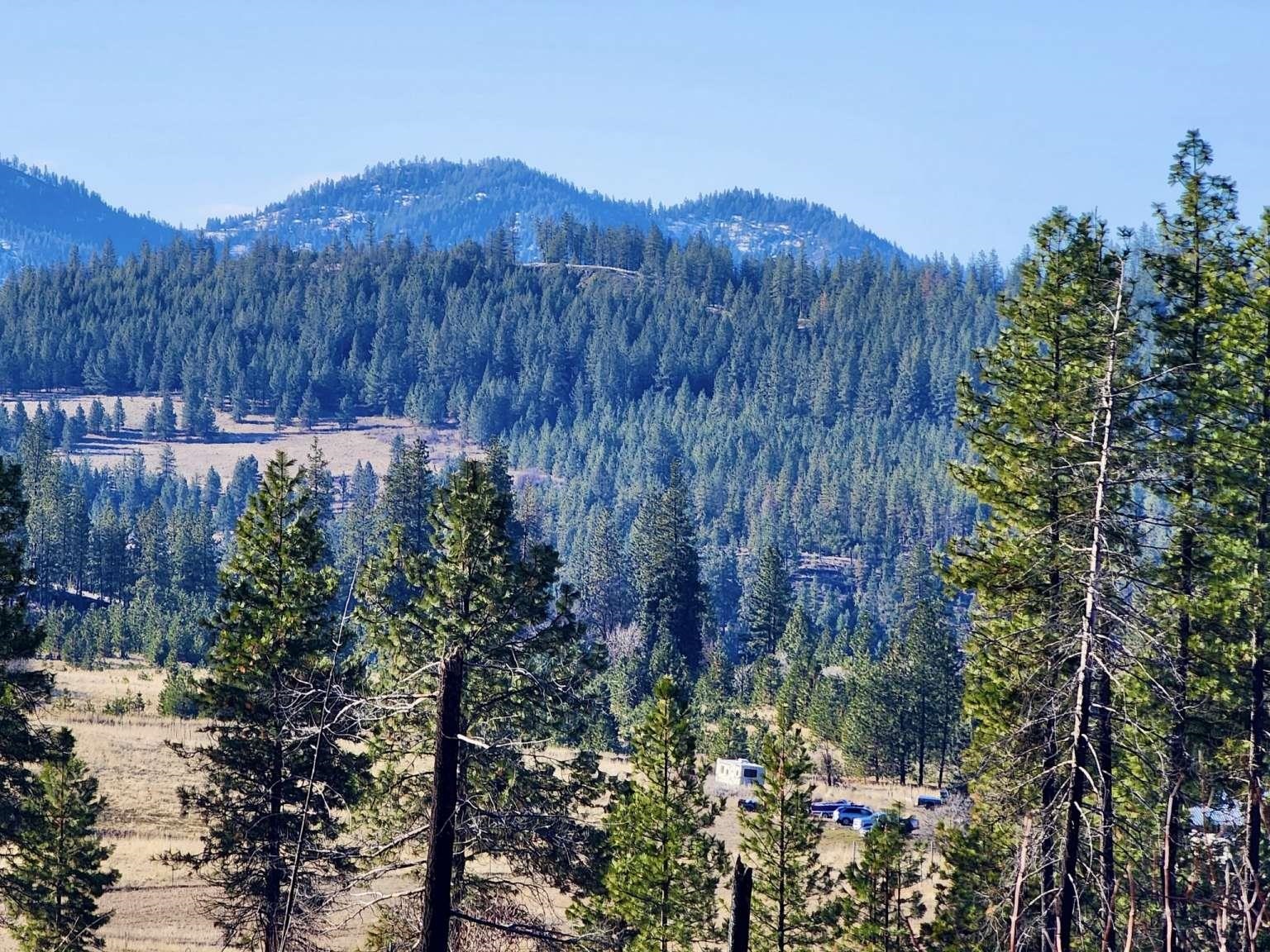 0 Carpenter Road Fruitland, WA 99129 - Photo 33 of 43