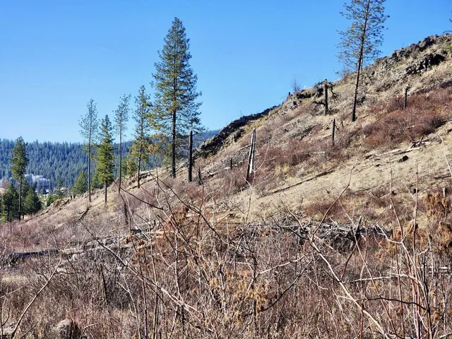 $44,997 | 0 Carpenter Road, Fruitland, WA 99129