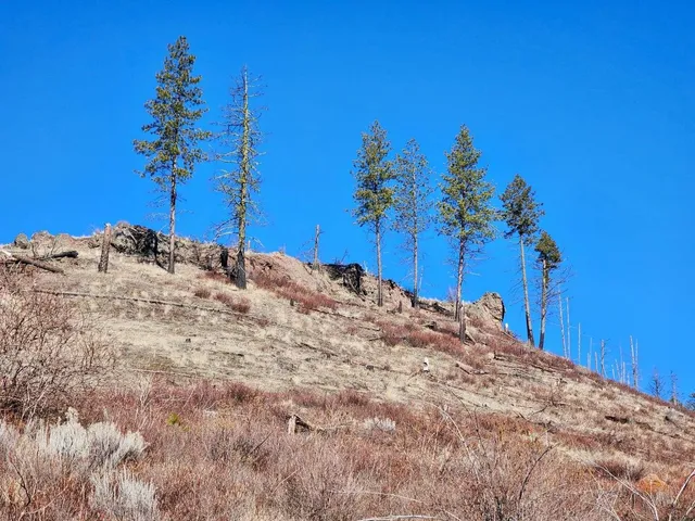 $44,997 | 0 Carpenter Road, Fruitland, WA 99129
