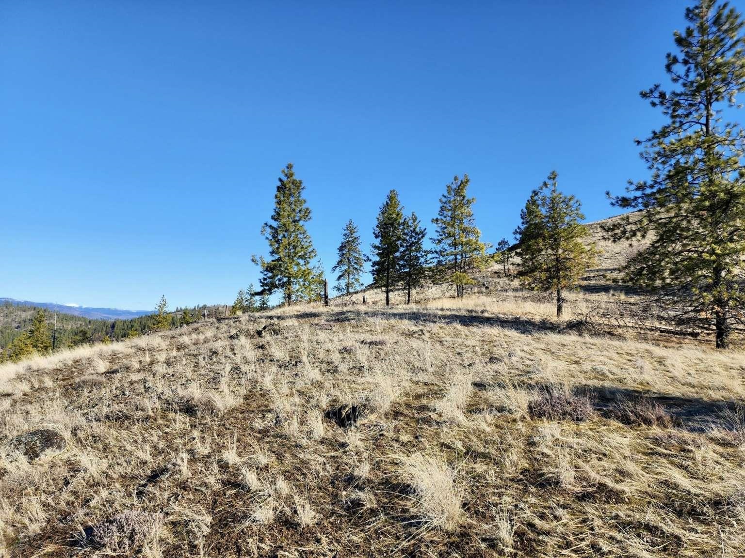 0 Carpenter Road Fruitland, WA 99129 - Photo 38 of 43