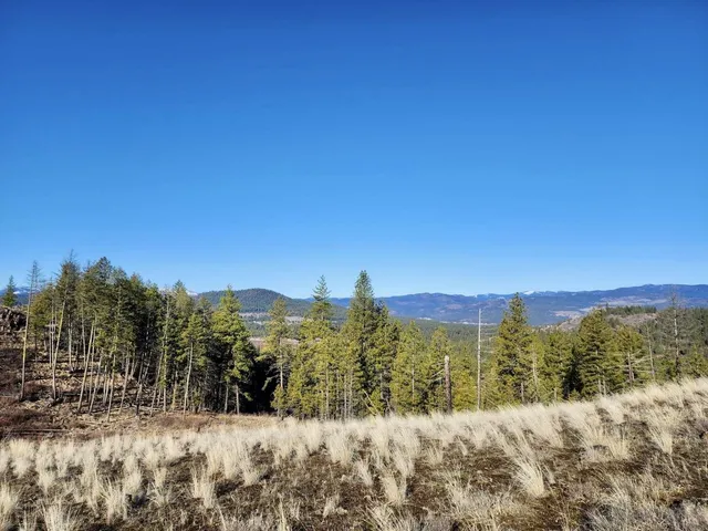 $44,997 | 0 Carpenter Road, Fruitland, WA 99129