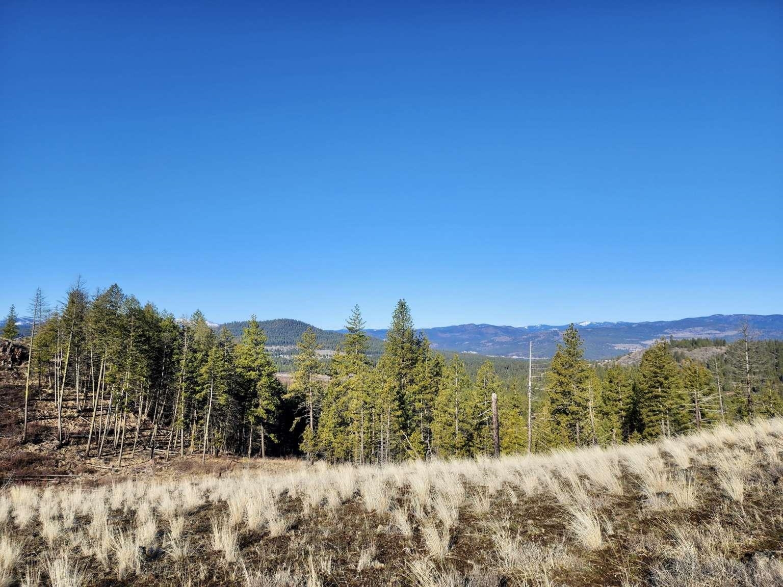 0 Carpenter Road Fruitland, WA 99129 - Photo 39 of 43