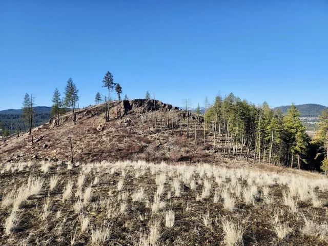 $44,997 | 0 Carpenter Road, Fruitland, WA 99129