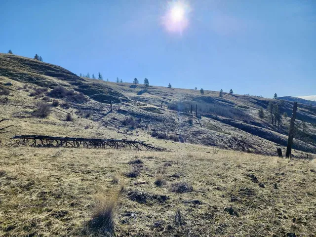 $44,997 | 0 Carpenter Road, Fruitland, WA 99129