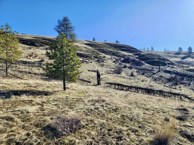 $44,997 | 0 Carpenter Road, Fruitland, WA 99129