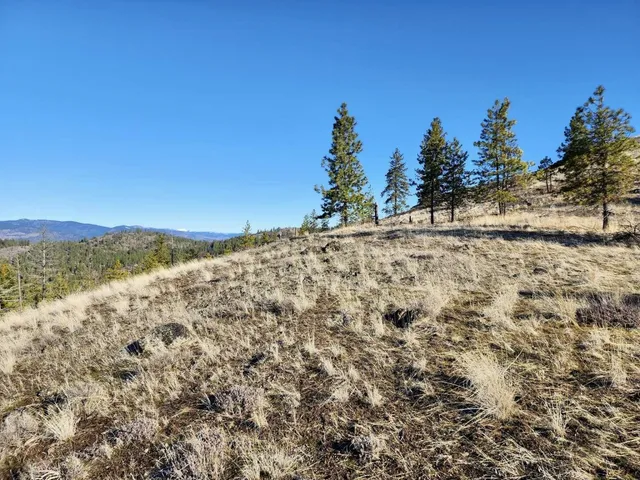 $44,997 | 0 Carpenter Road, Fruitland, WA 99129