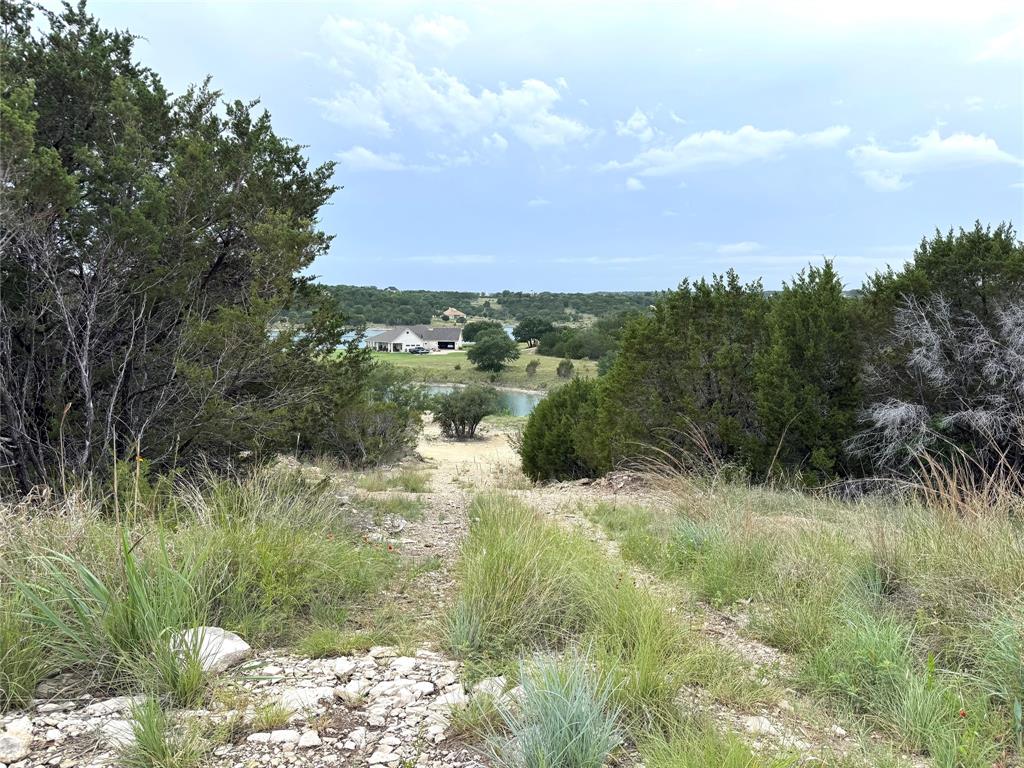810 Anglers Ridge Bluff Dale, TX 76433 - Photo 6 of 23 a view of a yard