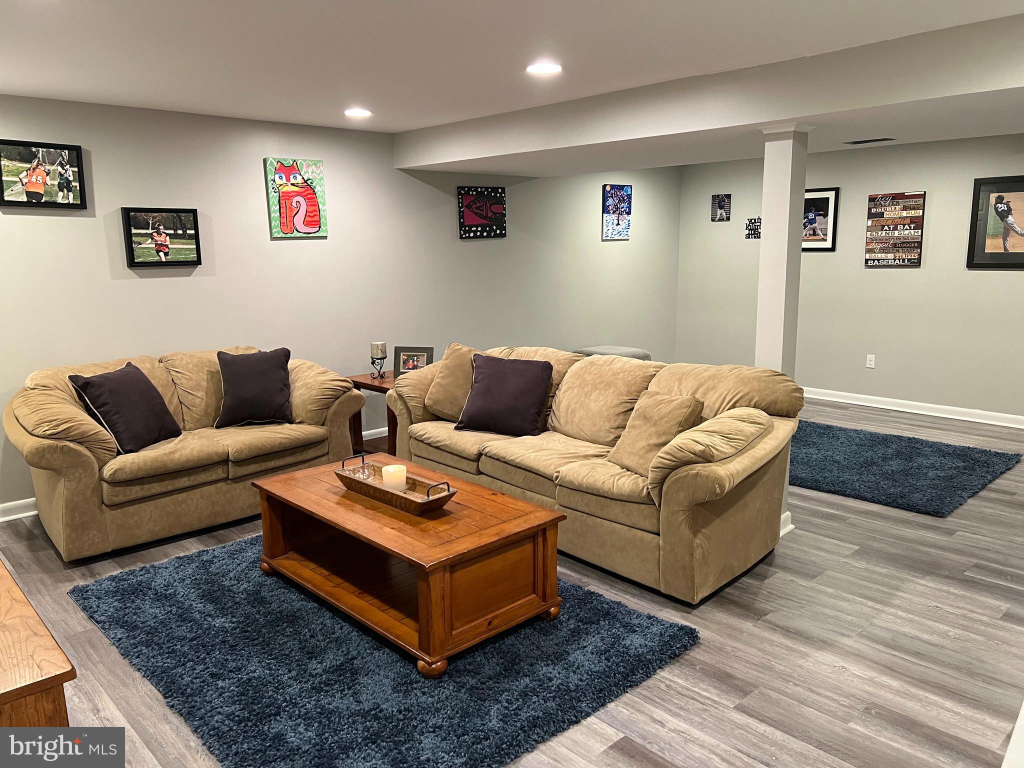 9 Pine Street Newtown Square, PA 19073 - Photo 45 of 54 Finished basement