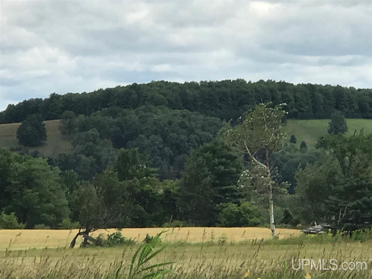 W5724 Summit Road Norway, MI 49870 - Photo 2 of 4