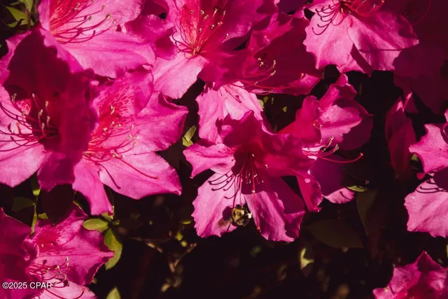 $255,000 | 6641 Cedar Street, Wewahitchka, FL 32465