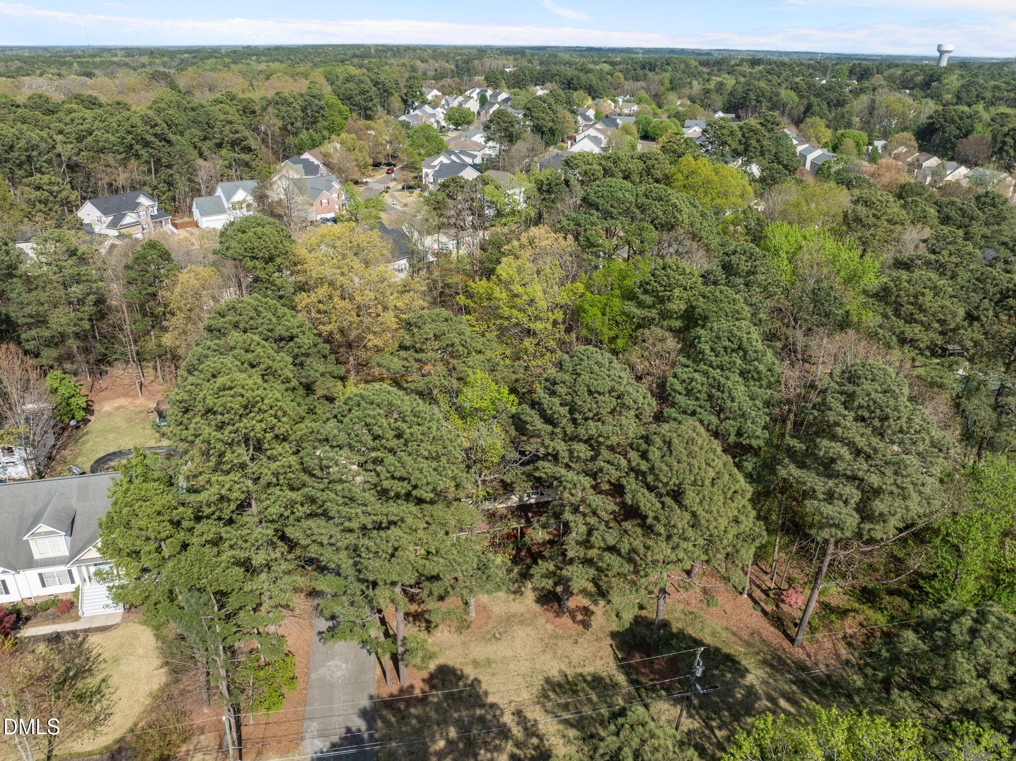 2421 Bonnie Brae Road Durham, NC 27703 - Photo 52 of 55 a view of a forest with a street