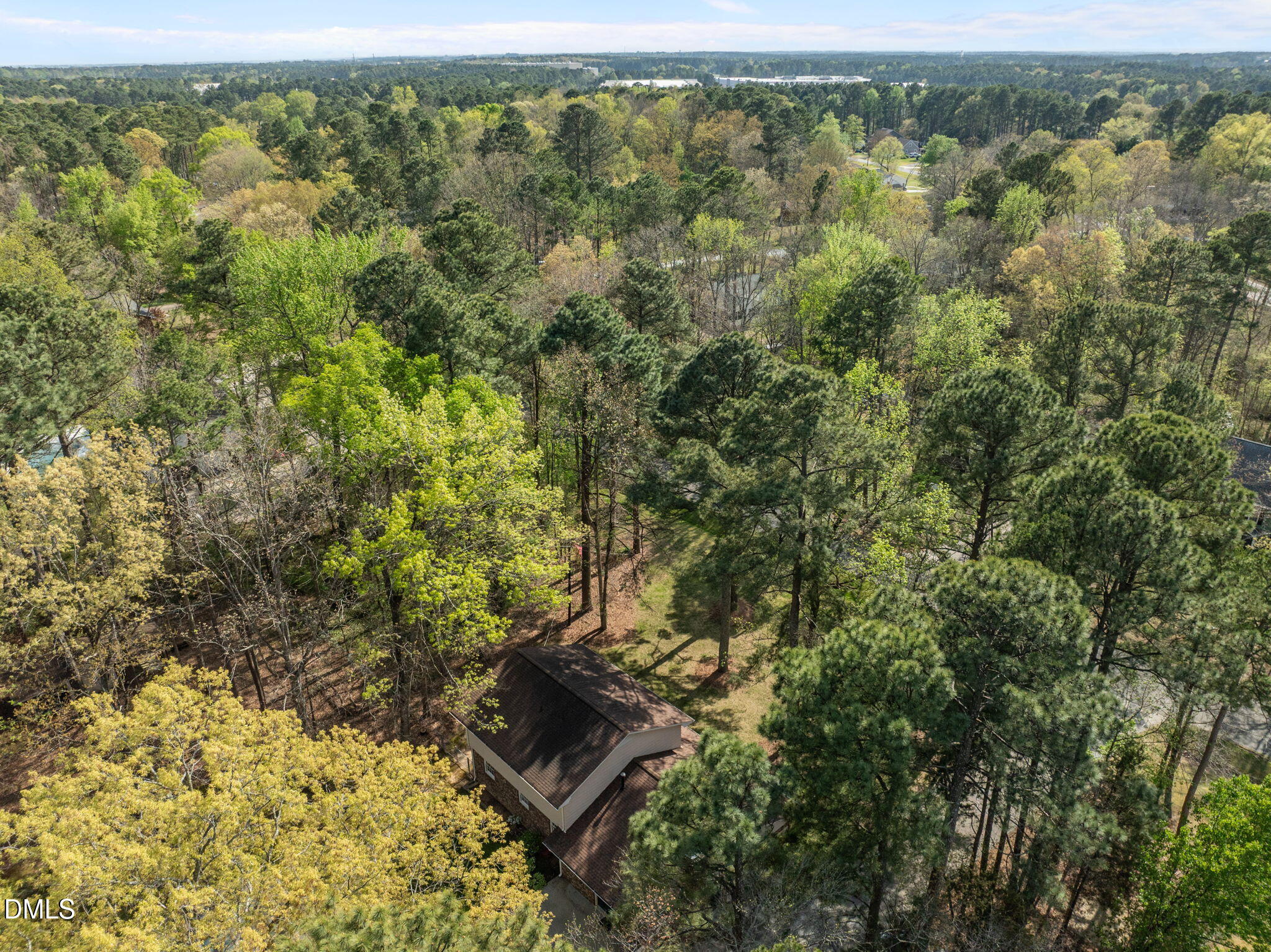 2421 Bonnie Brae Road Durham, NC 27703 - Photo 54 of 55 view of a forest with an outdoor space