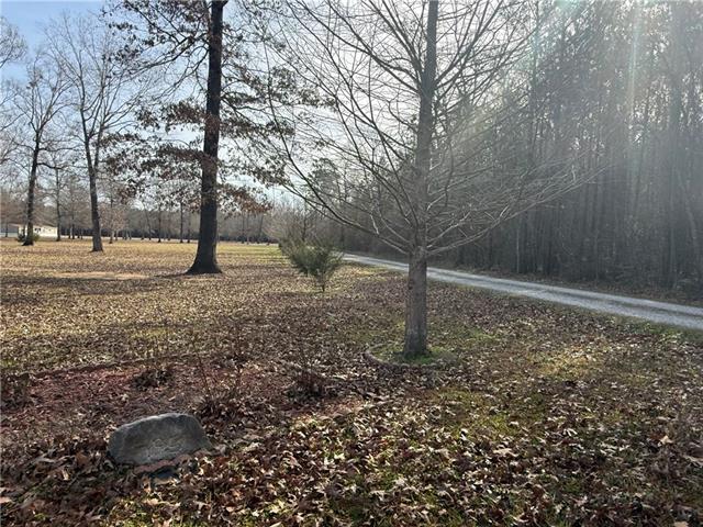 195 Varvarosky Road Deville, LA 71328 - Photo 20 of 37