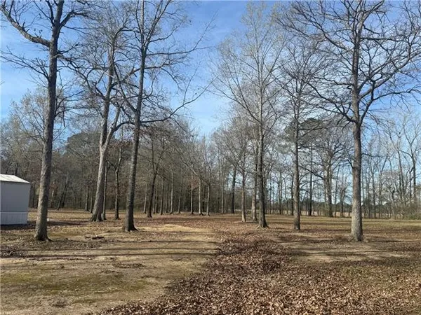 $310,000 | 195 Varvarosky Road, Deville, LA 71328