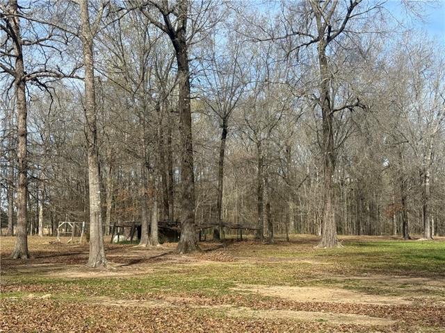 195 Varvarosky Road Deville, LA 71328 - Photo 22 of 37