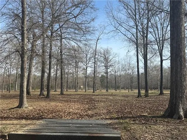 $310,000 | 195 Varvarosky Road, Deville, LA 71328