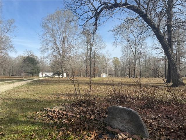 195 Varvarosky Road Deville, LA 71328 - Photo 36 of 37