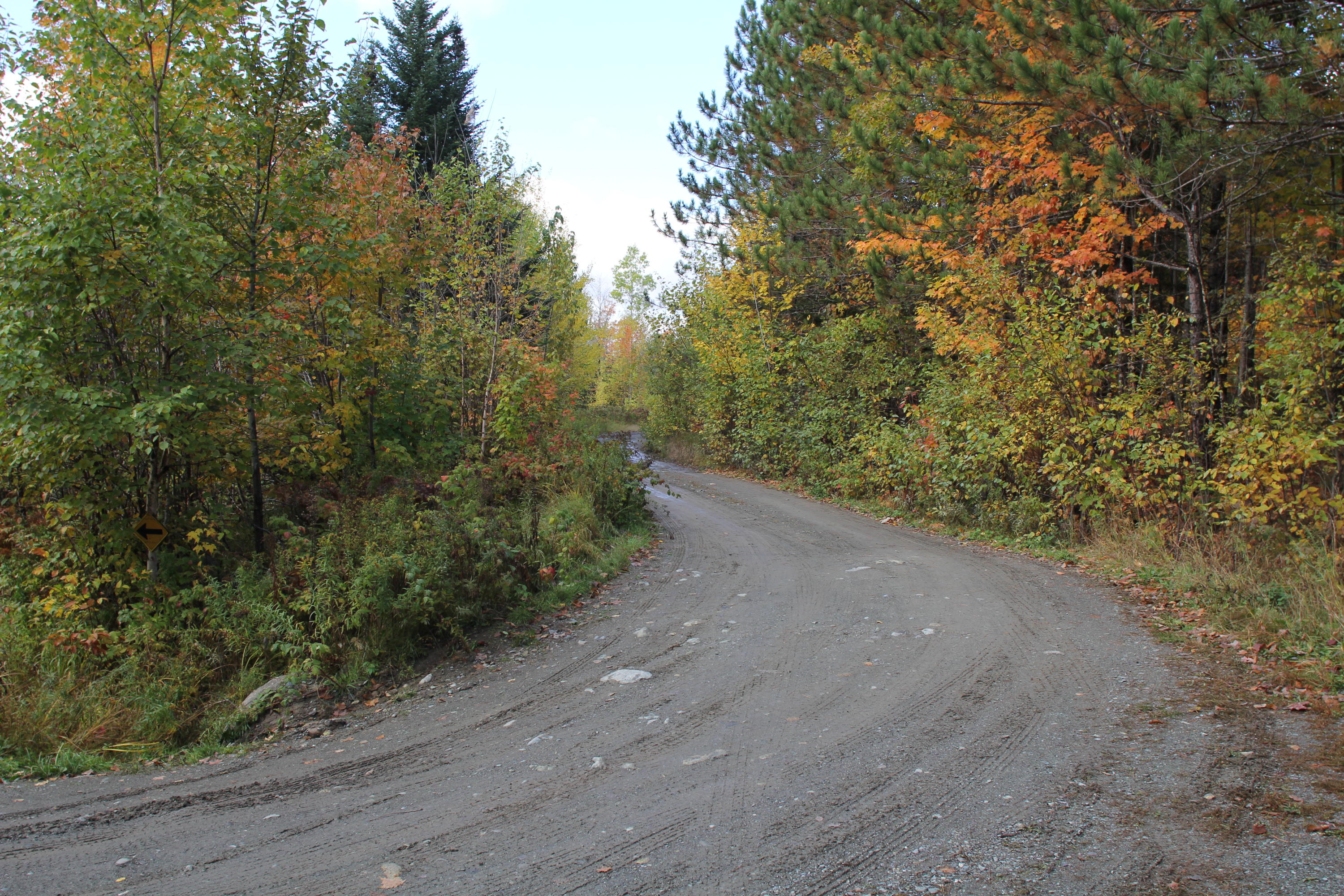 0 Off Route 27 Road Eustis, ME 04936 - Photo 4 of 10 IMG_6563