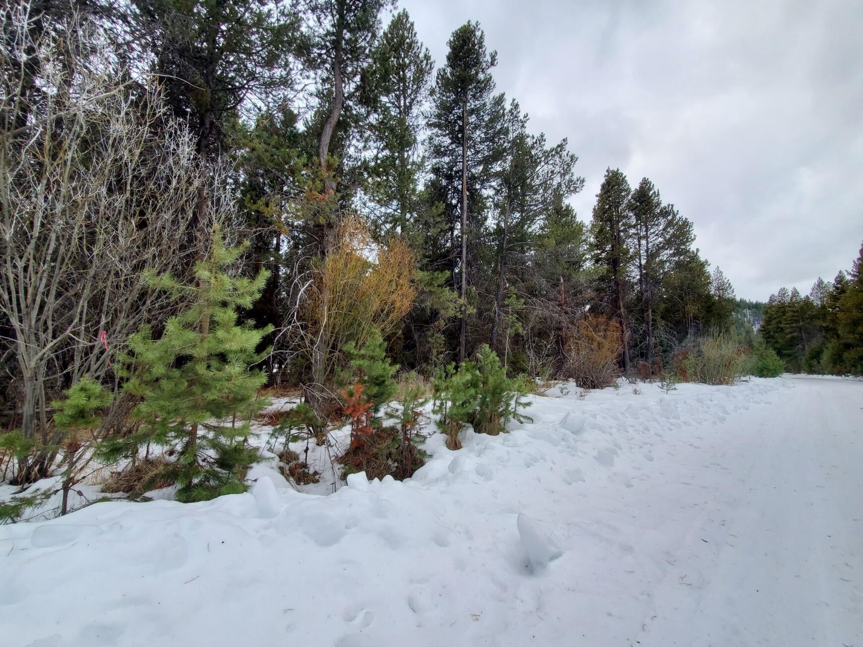 16881 Hermosa Road Bend, OR 97707 - Photo 1 of 9 HermosaRoad2