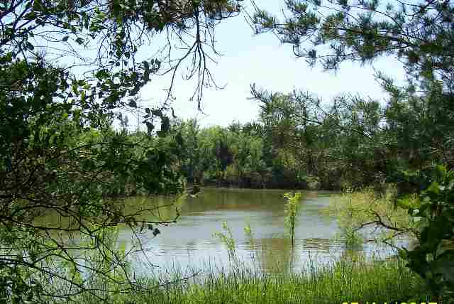 0 Schleder Road Pekin, IL 61554 - Photo 1 of 6