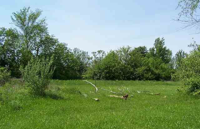 0 Schleder Road Pekin, IL 61554 - Photo 4 of 6