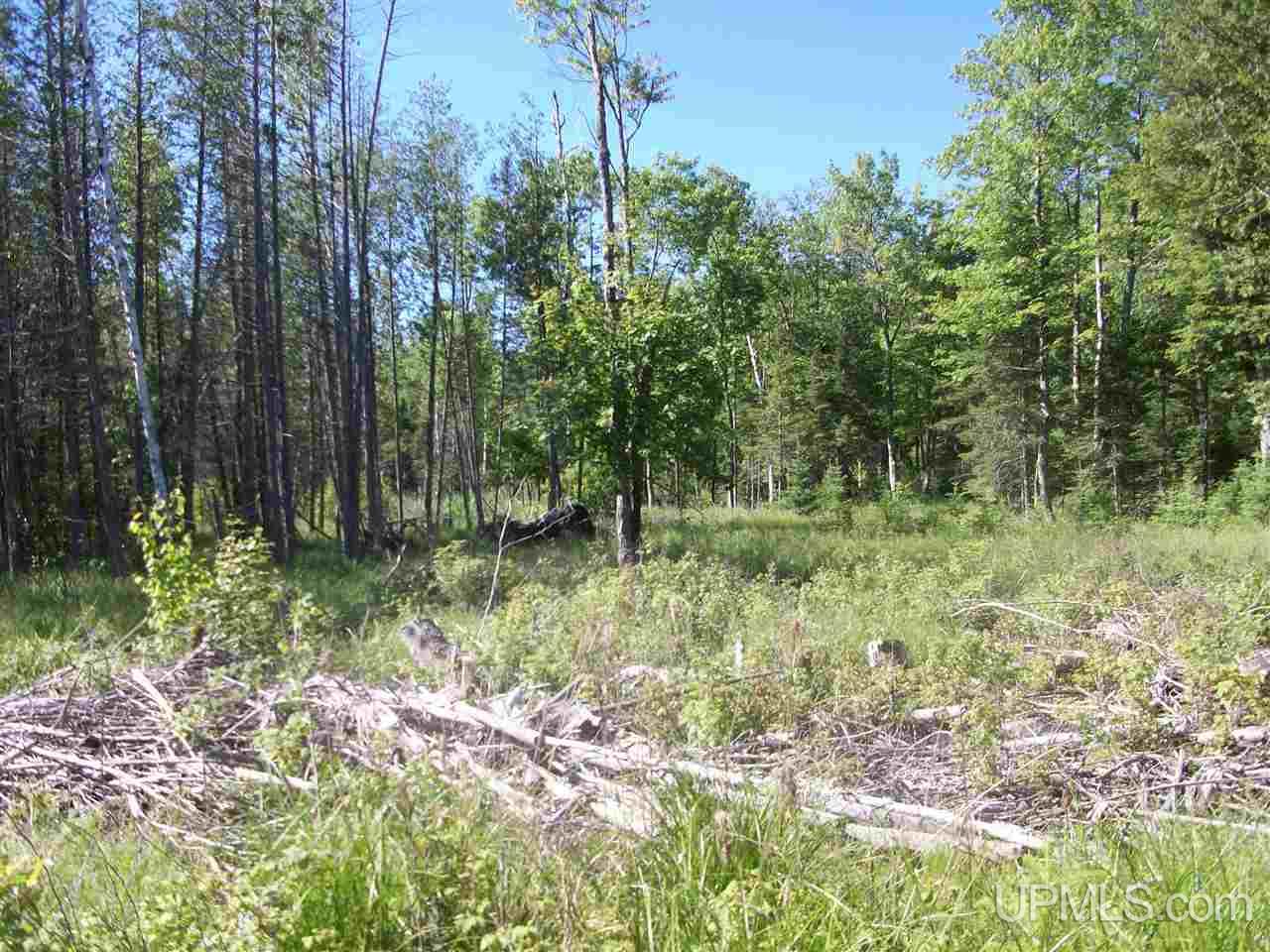 N18011 Oro Road Powers, MI 49874 - Photo 25 of 34 Gallery Image 25