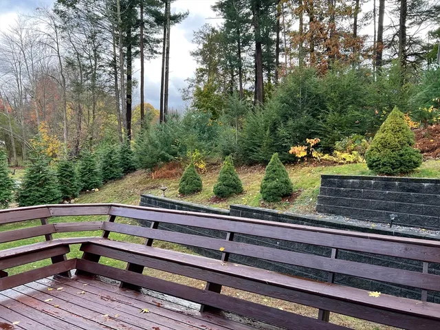a view of backyard with mountain view and wooden floor