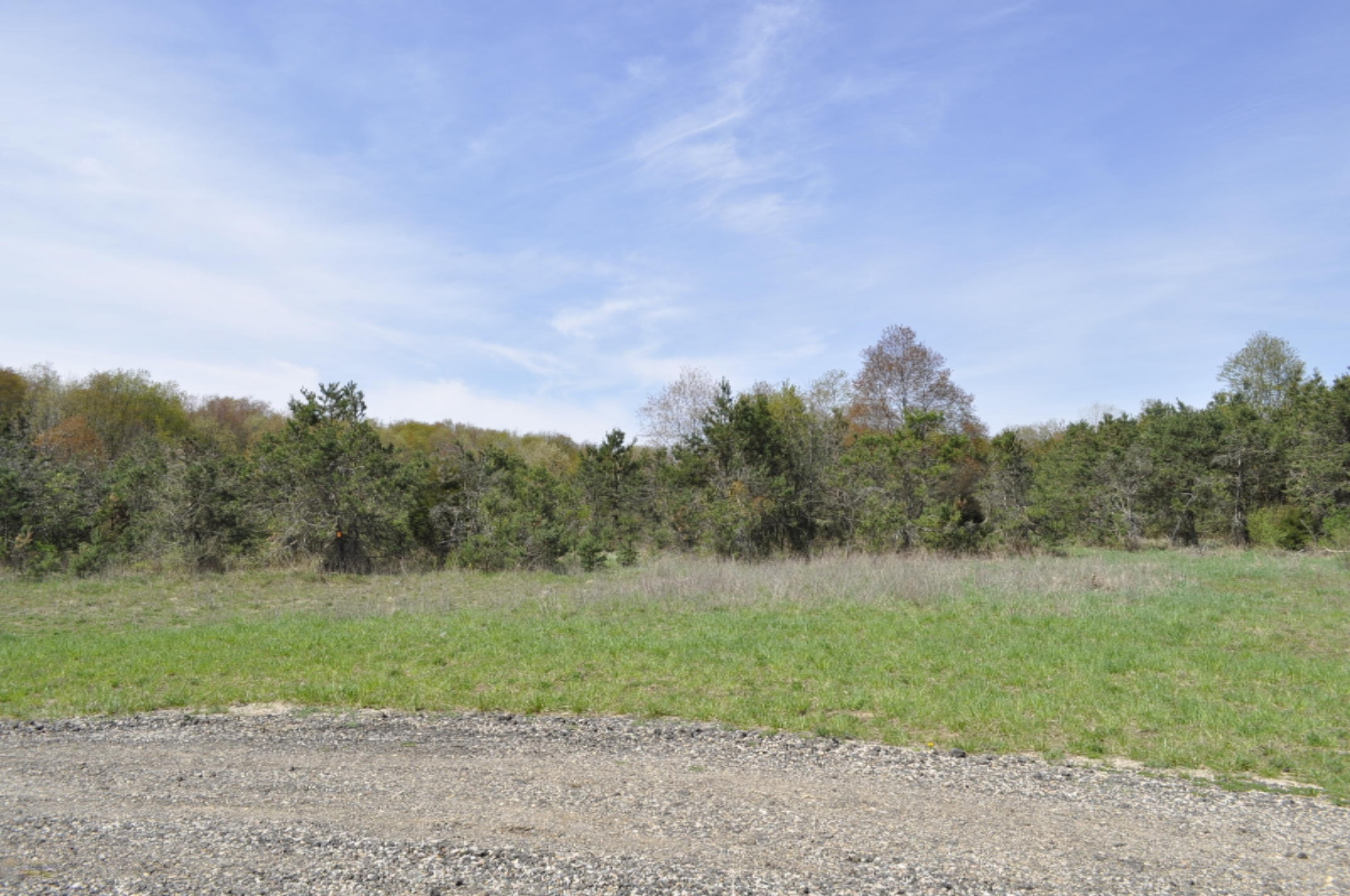 9 Coyote Trail Belding, MI 48809 - Photo 1 of 1 CTD-Lot9a
