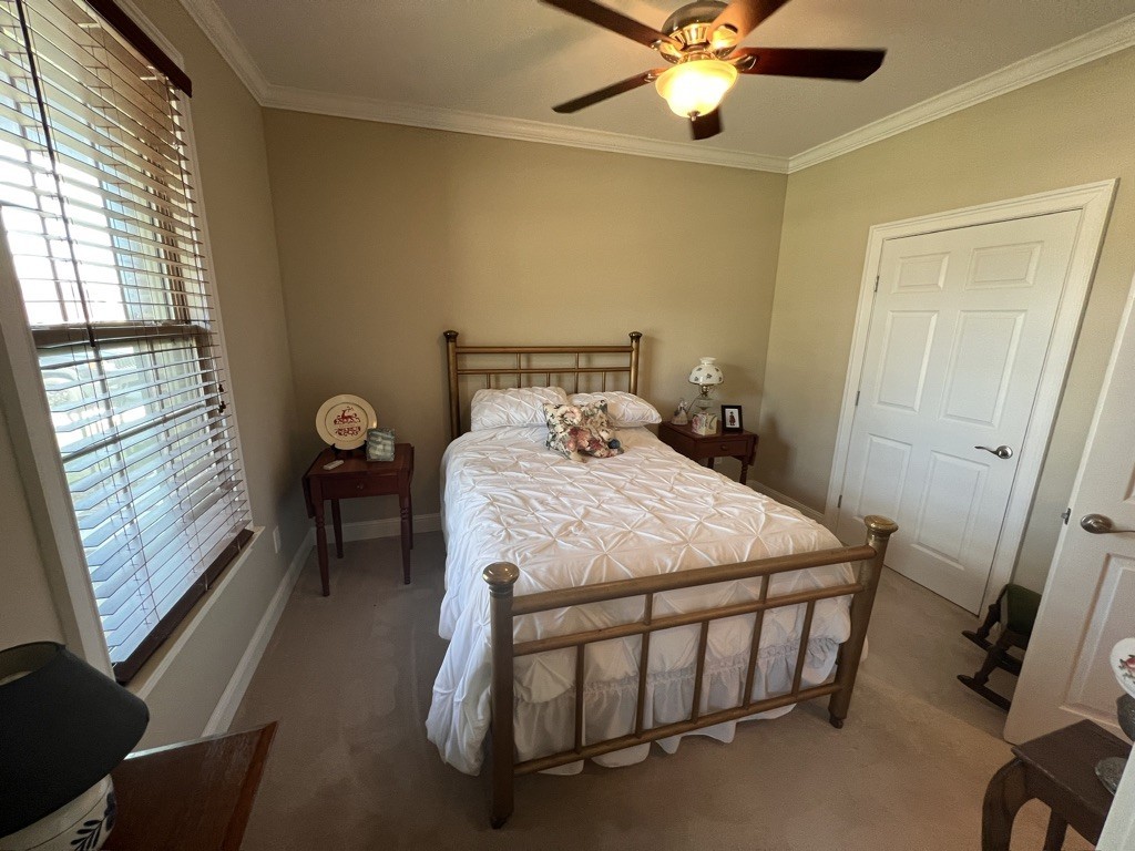 116 Riley Circle Fayetteville, TN 37334 - Photo 23 of 30 a bedroom with a bed and a window