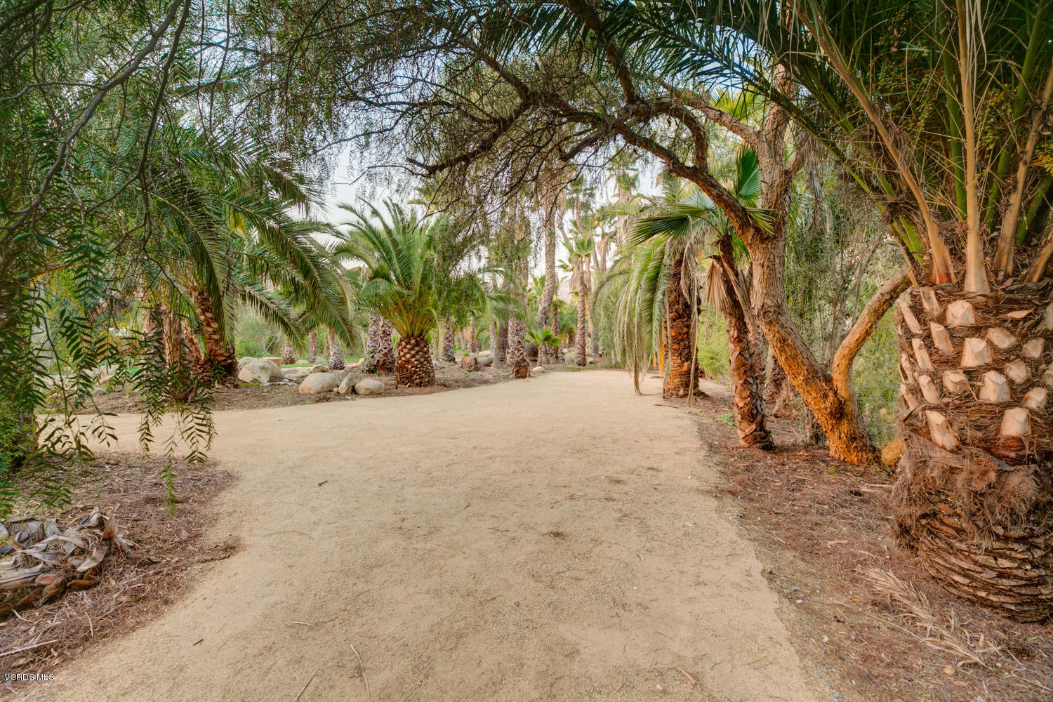 1250 Meyer Road Ojai, CA 93023 - Photo 24 of 30 TwoFishDigital_1250Meyer-24