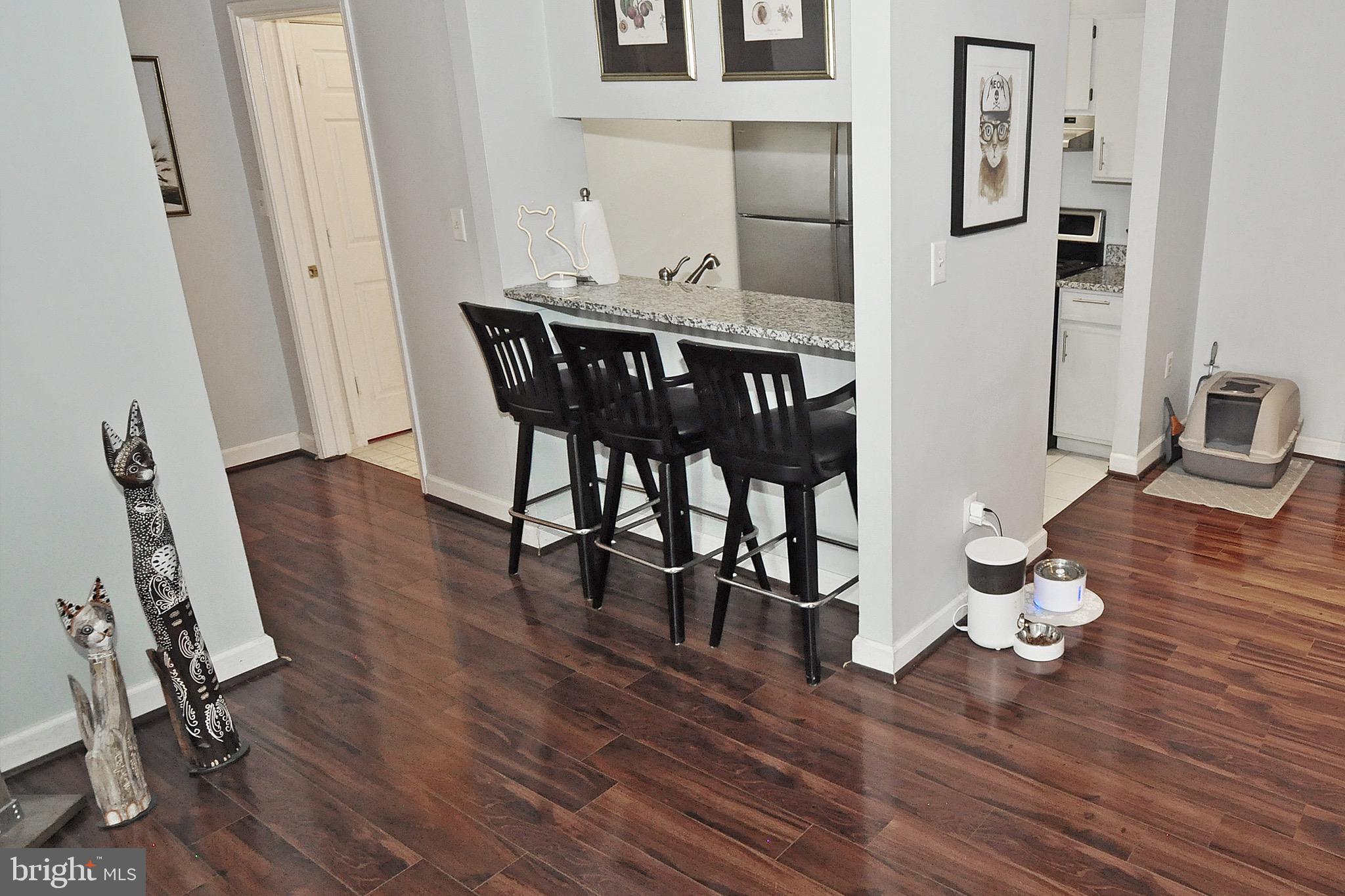 20963 Timber Ridge Terrace, Unit 101 Ashburn, VA 20147 - Photo 7 of 26 Breakfast Bar