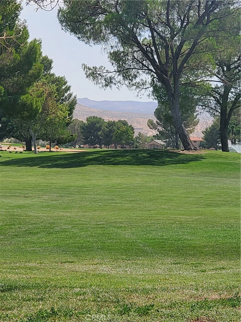 14553 Rivers Edge Road Helendale, CA 92342 - Photo 7 of 15 a view of a big yard with a fountain