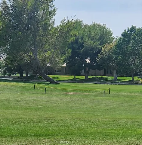 a view of a park with trees