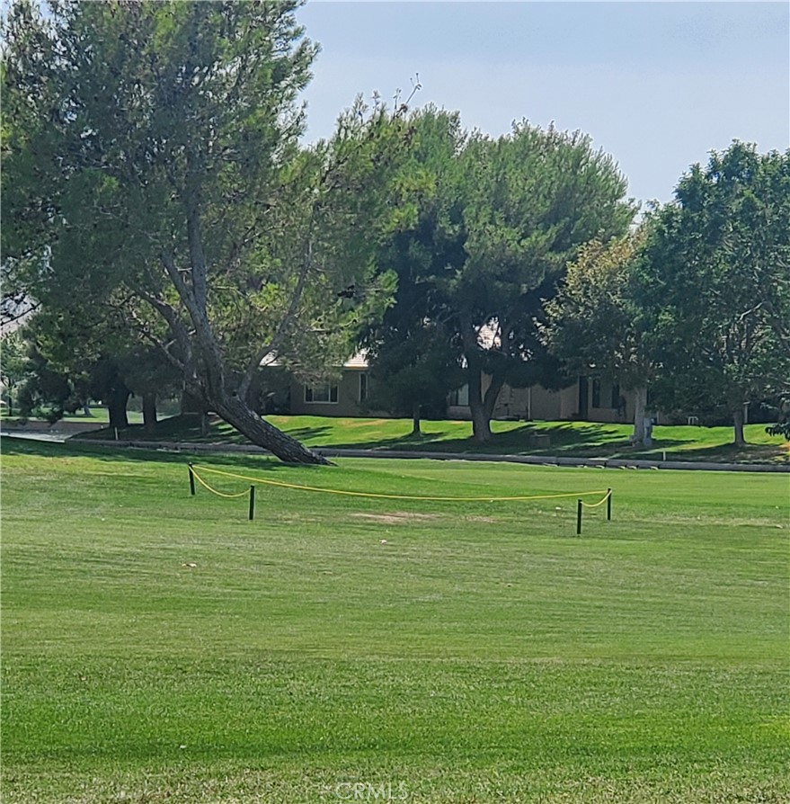 14553 Rivers Edge Road Helendale, CA 92342 - Photo 8 of 15 a view of a park with trees