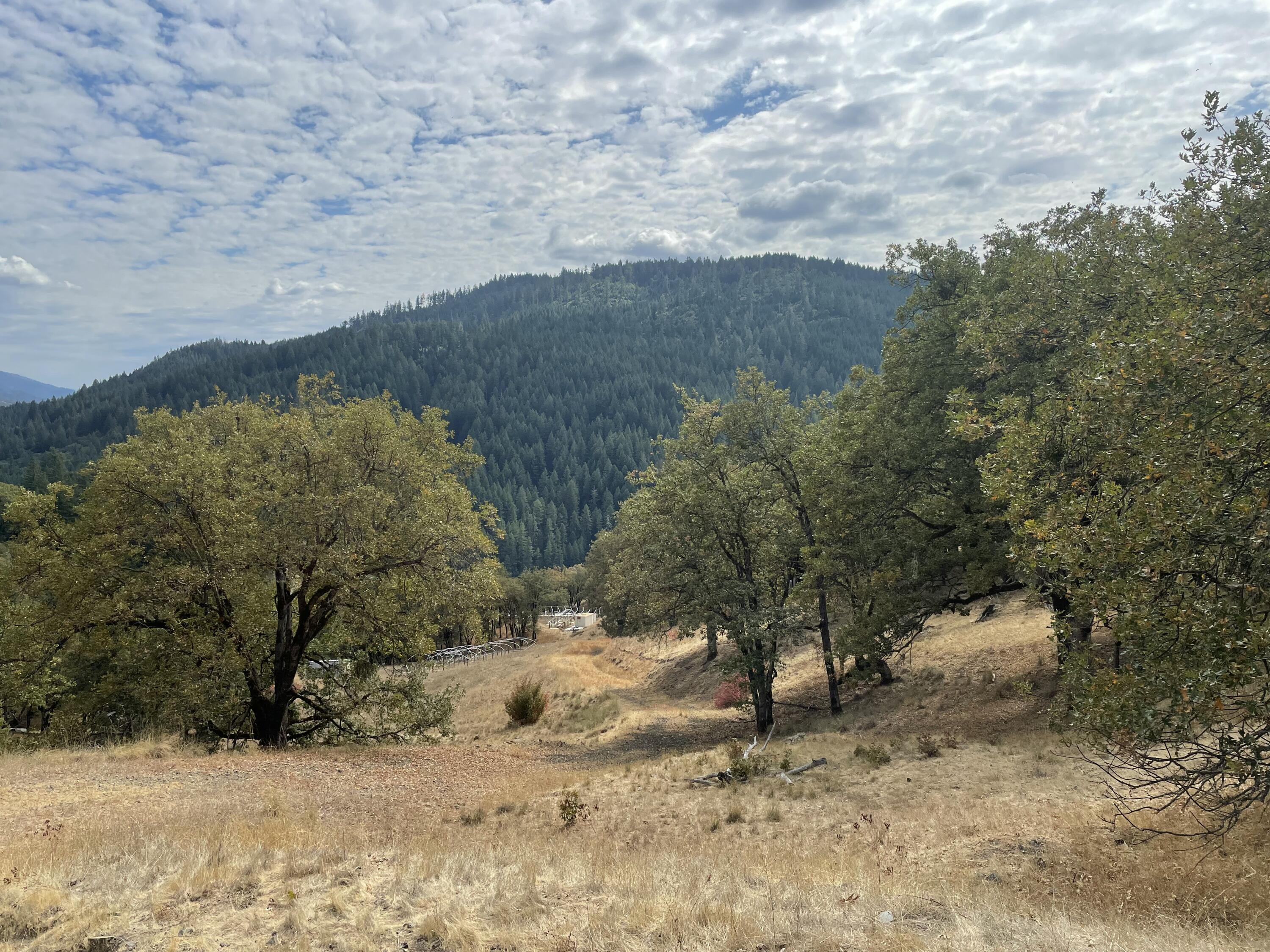 40-acres 40-acres Ridge Road Mad River, CA 95526 - Photo 9 of 28