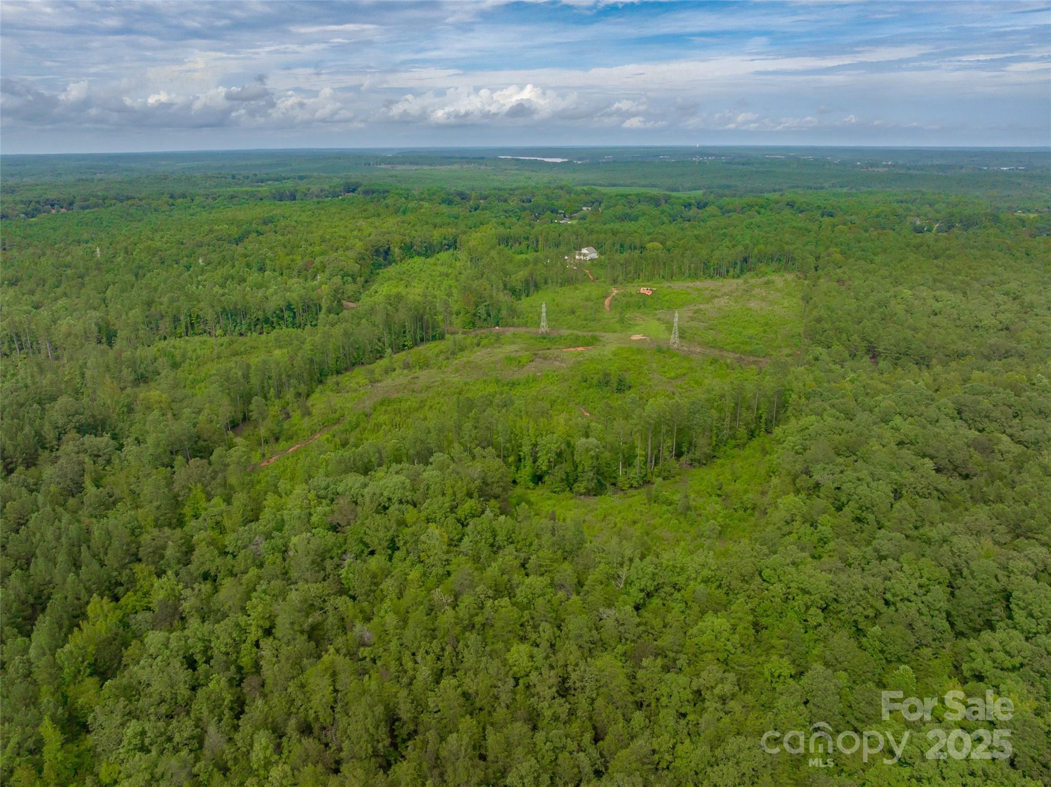 0 Knopf Drive Great Falls, SC 29055 - Photo 13 of 28 a view of a big yard with lots of green space and deers