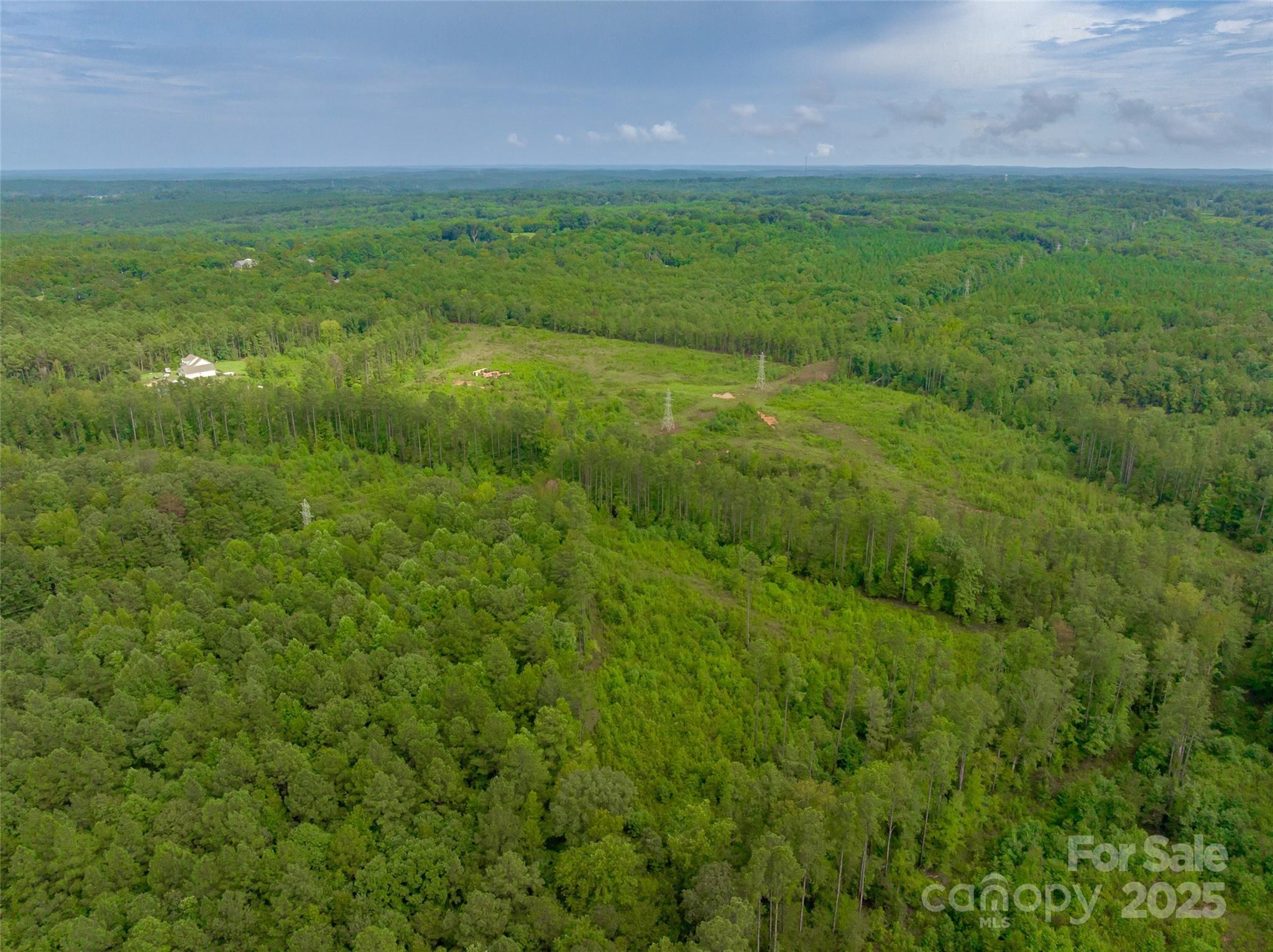 0 Knopf Drive Great Falls, SC 29055 - Photo 18 of 28 a view of a field with a plants and trees