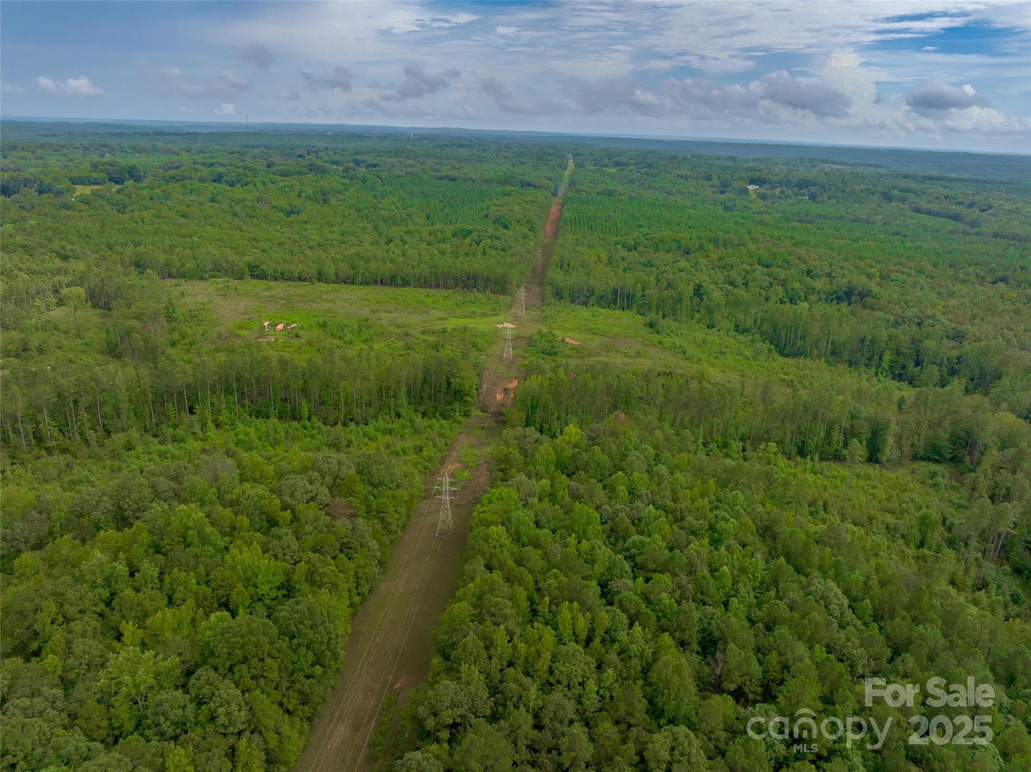 0 Knopf Drive Great Falls, SC 29055 - Photo 19 of 28 a view of a green field with lots of bushes