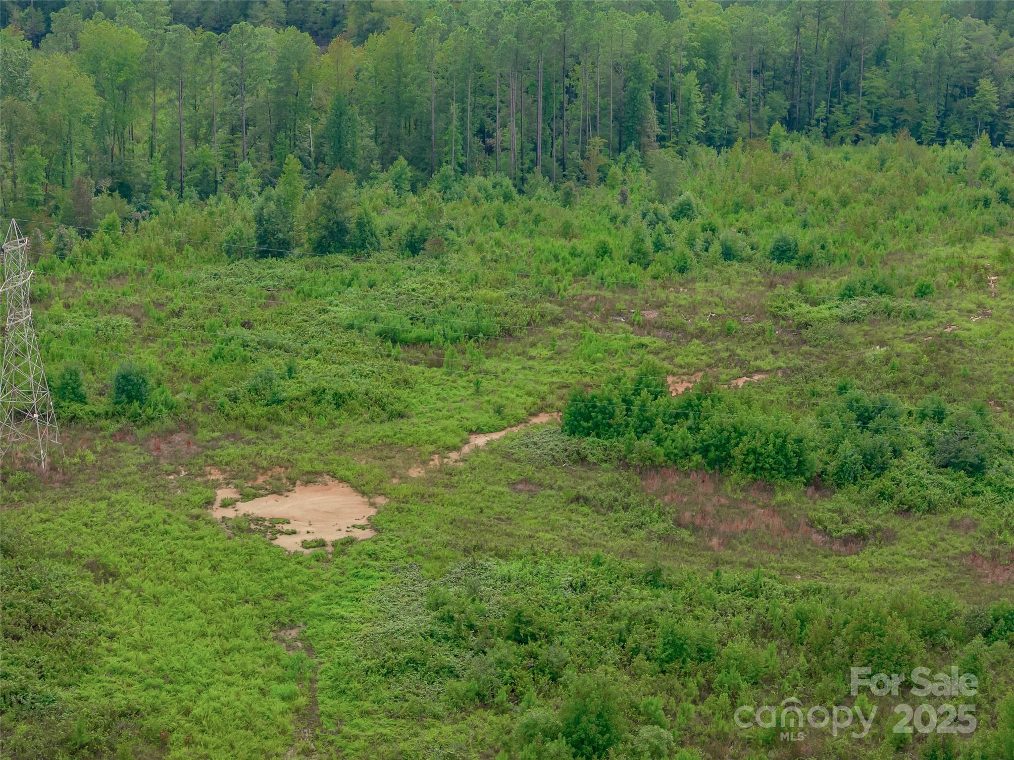 0 Knopf Drive Great Falls, SC 29055 - Photo 23 of 28 a backyard of a house with lots of green space and trees